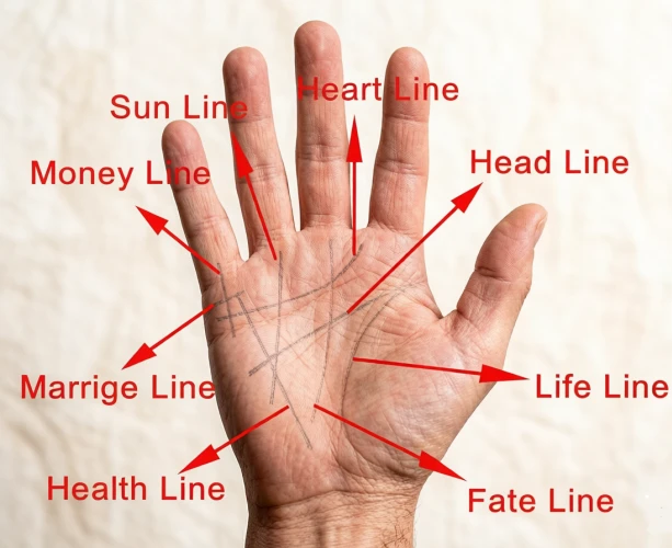Palmistry lines guide showing heart line, head line, life line, fate line, sun line, money line, marriage line and health line